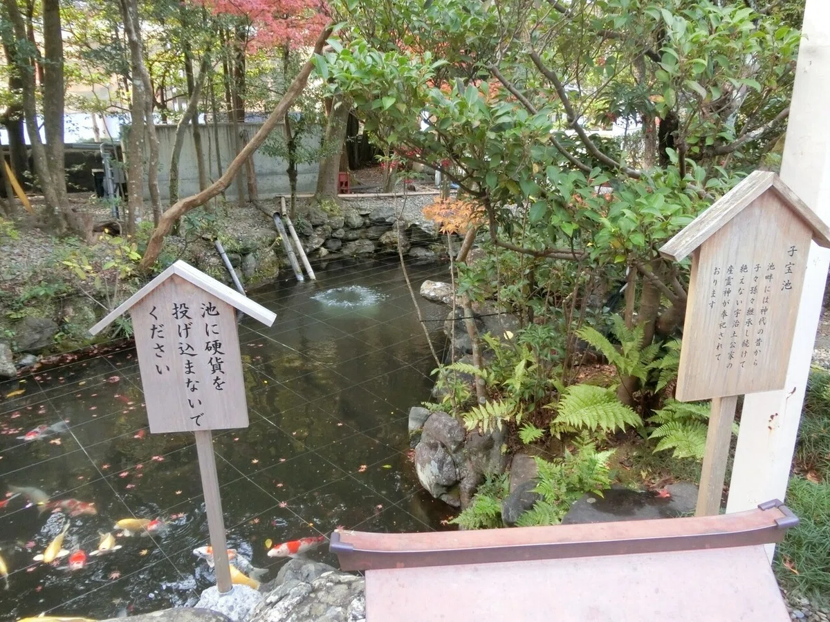 画像16