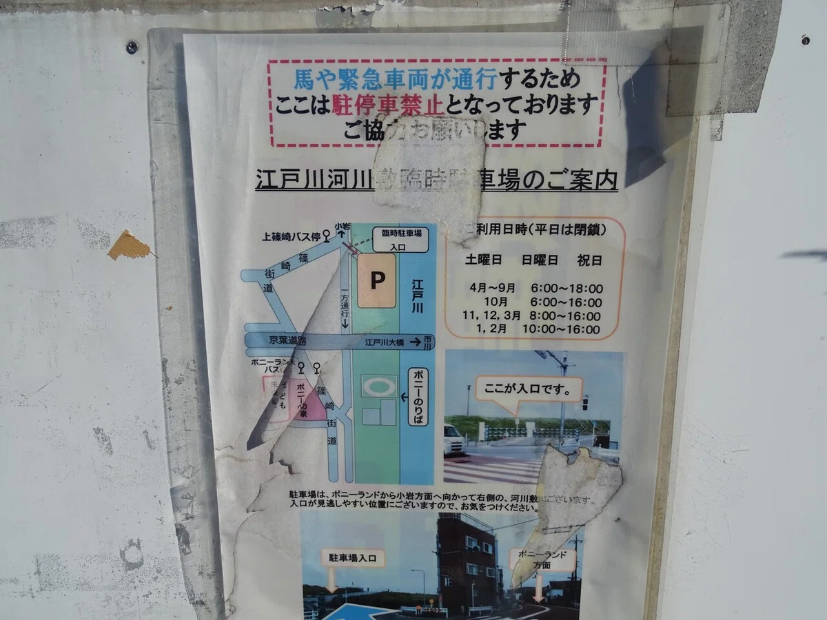 画像12