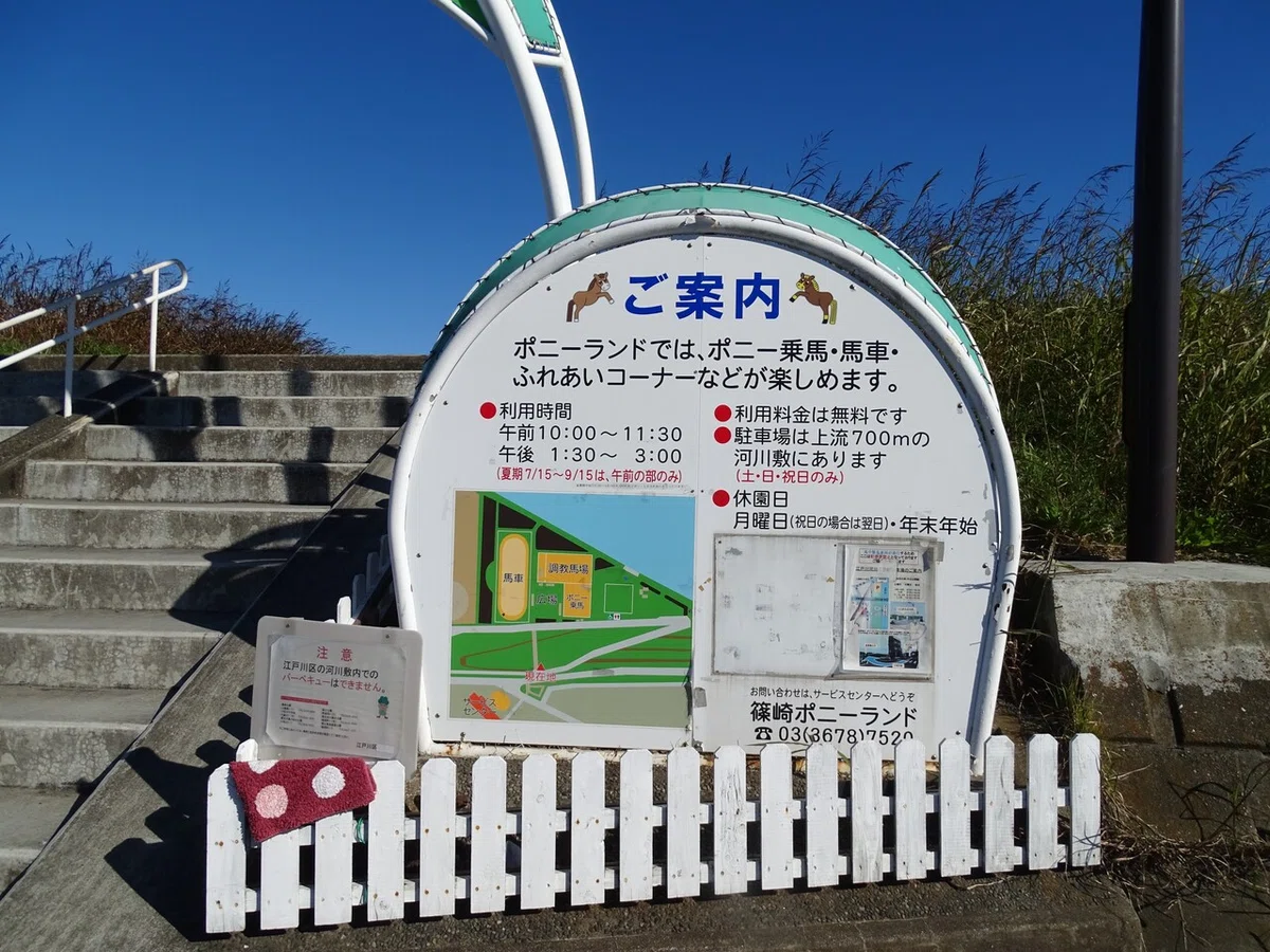 画像11