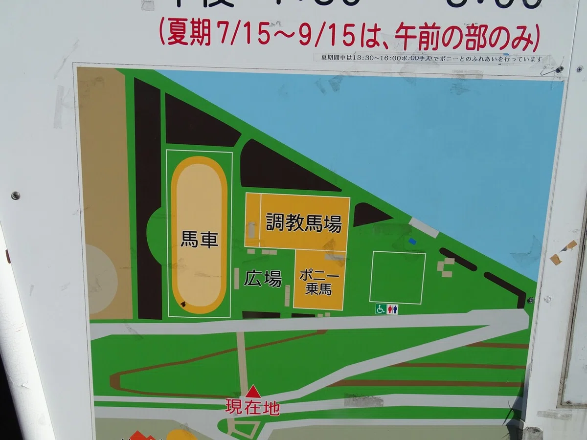 画像13