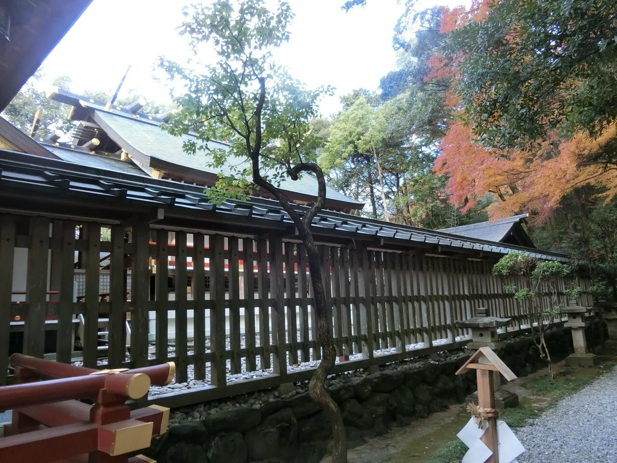 画像17