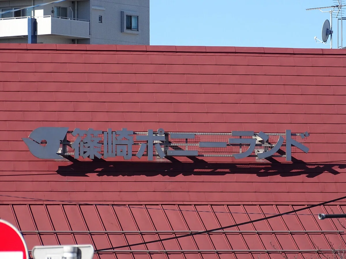 画像14