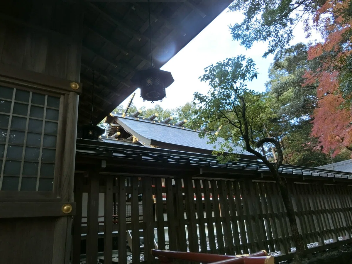 画像18