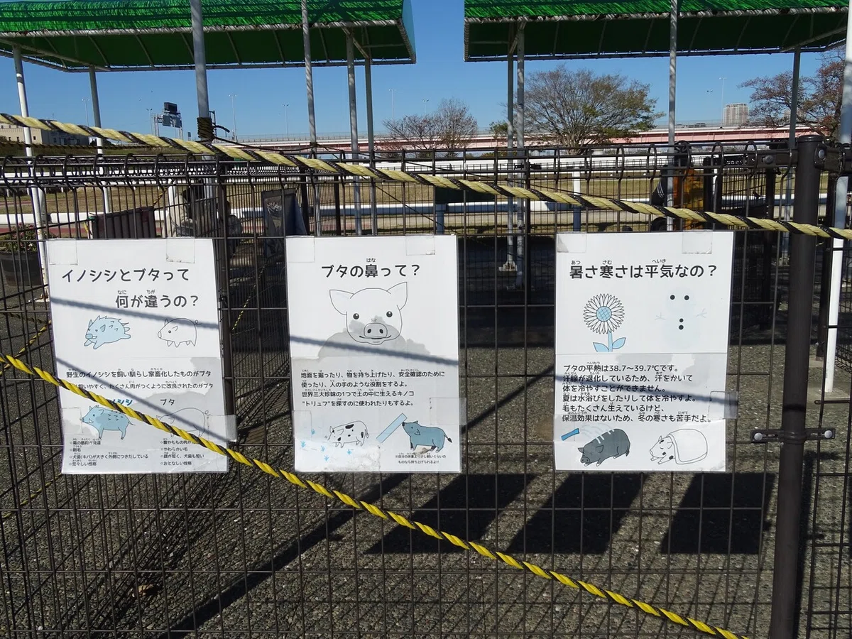 画像21