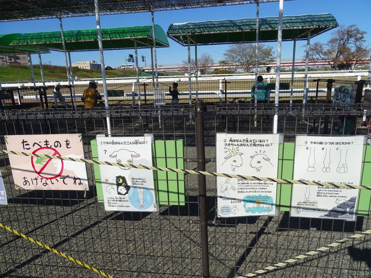 画像22