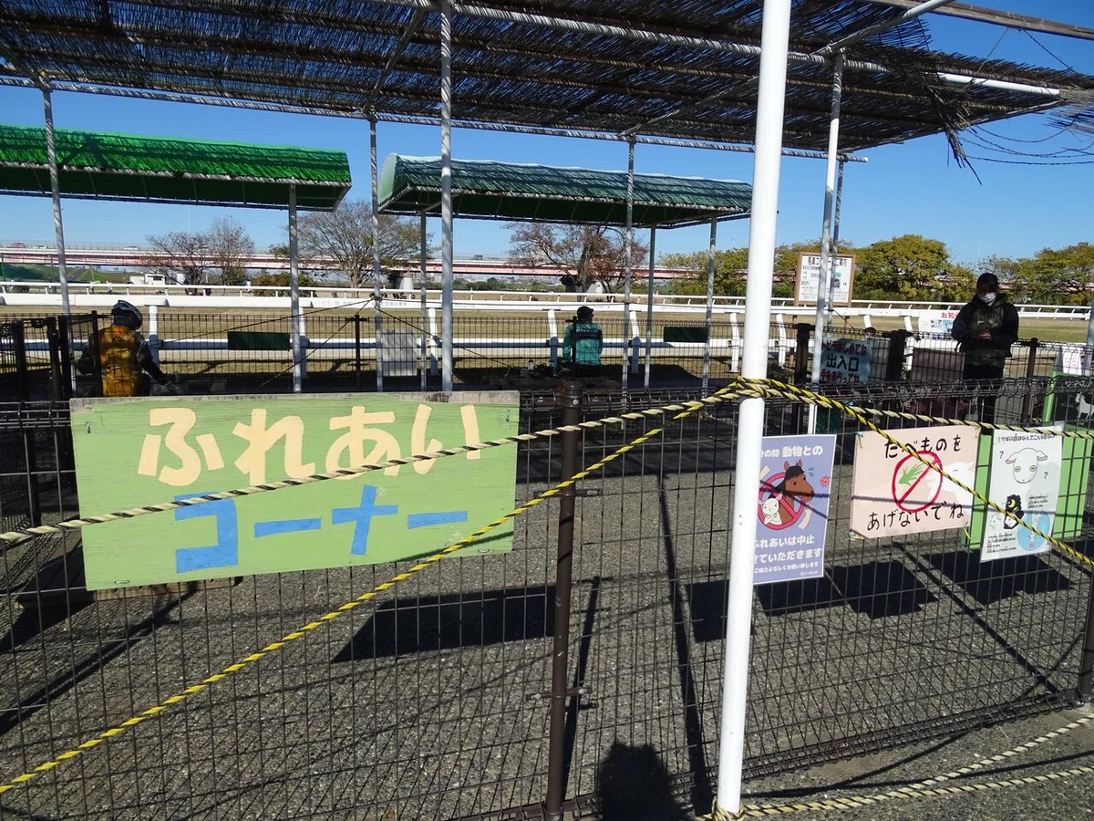 画像23