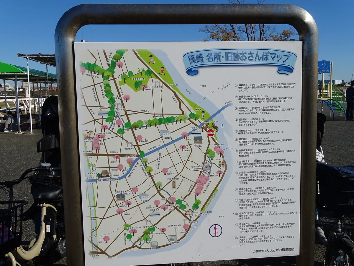 画像31