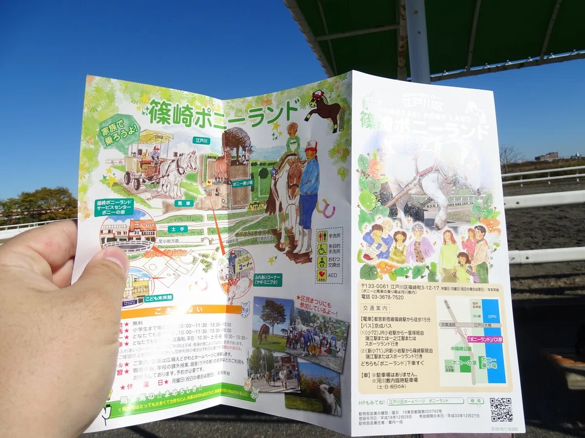 画像38