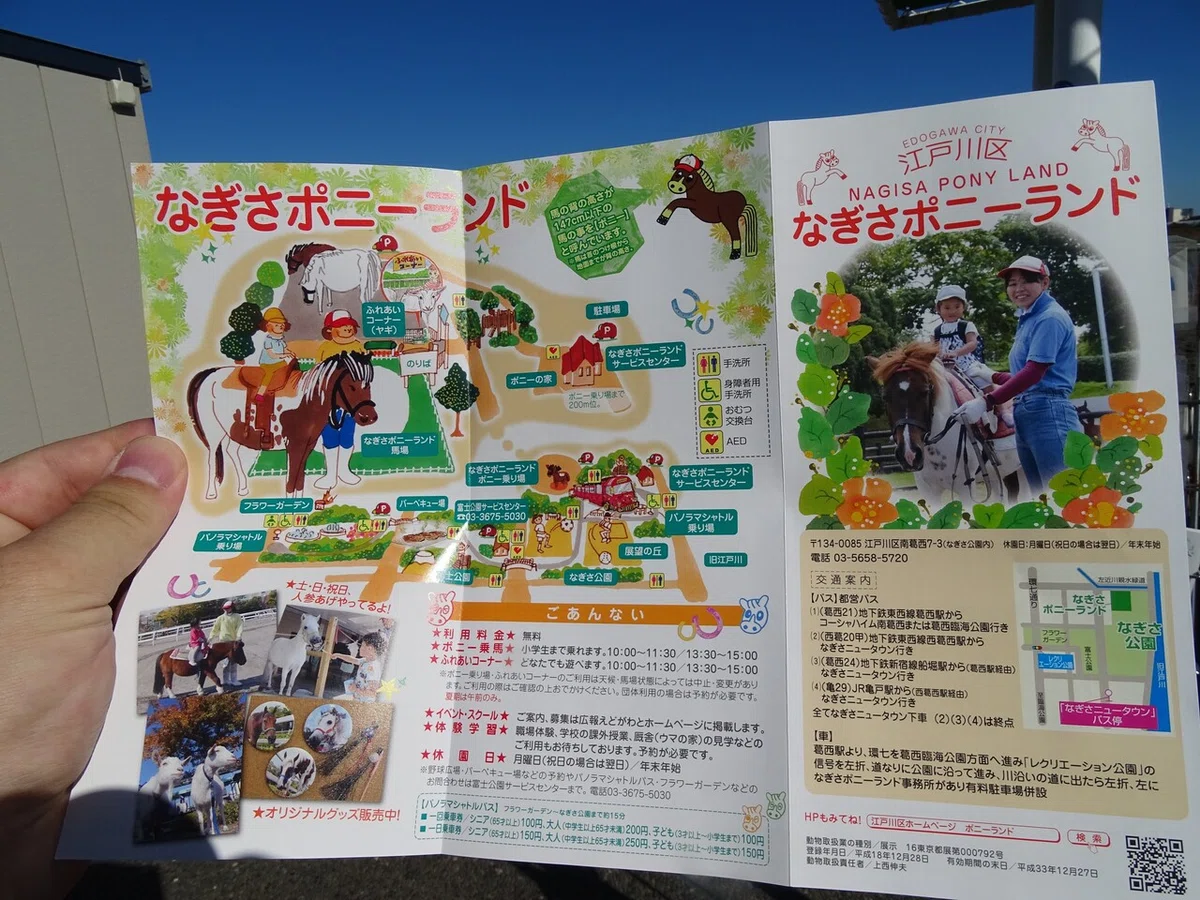 画像37