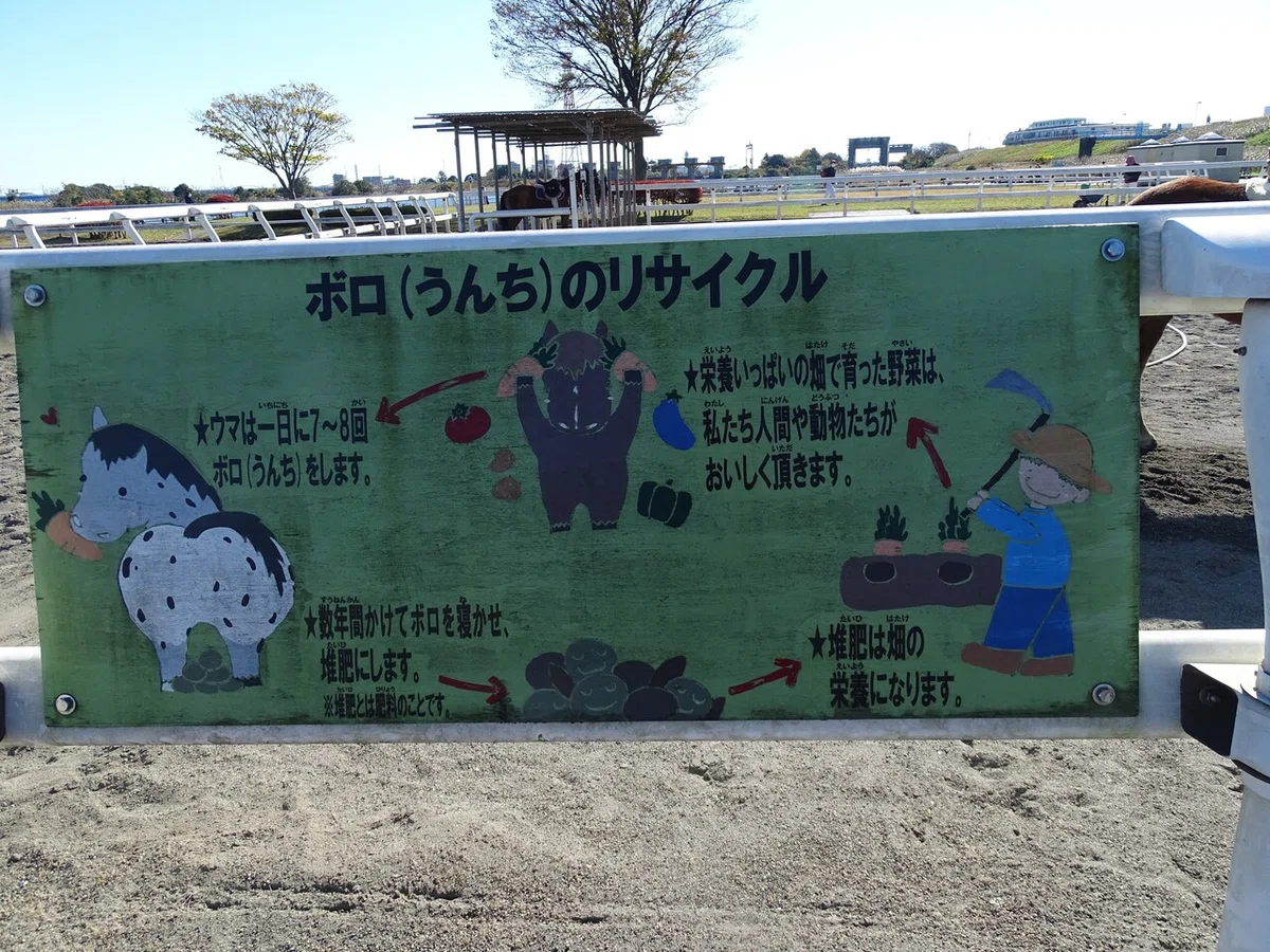 画像33