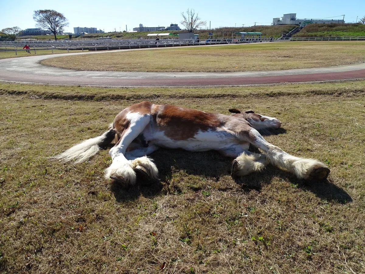画像50