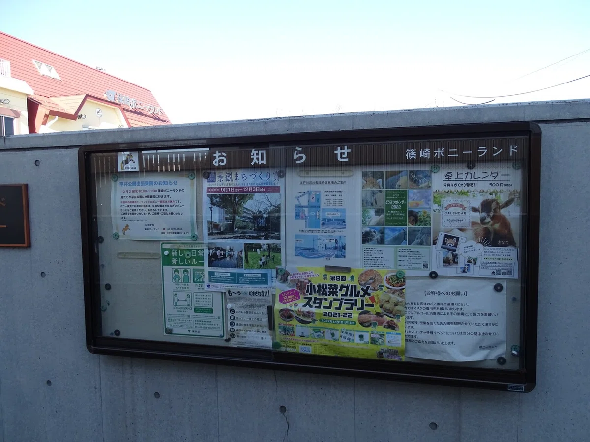 画像63
