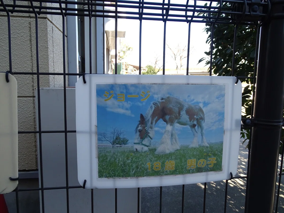 画像69