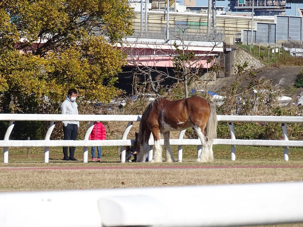 画像59