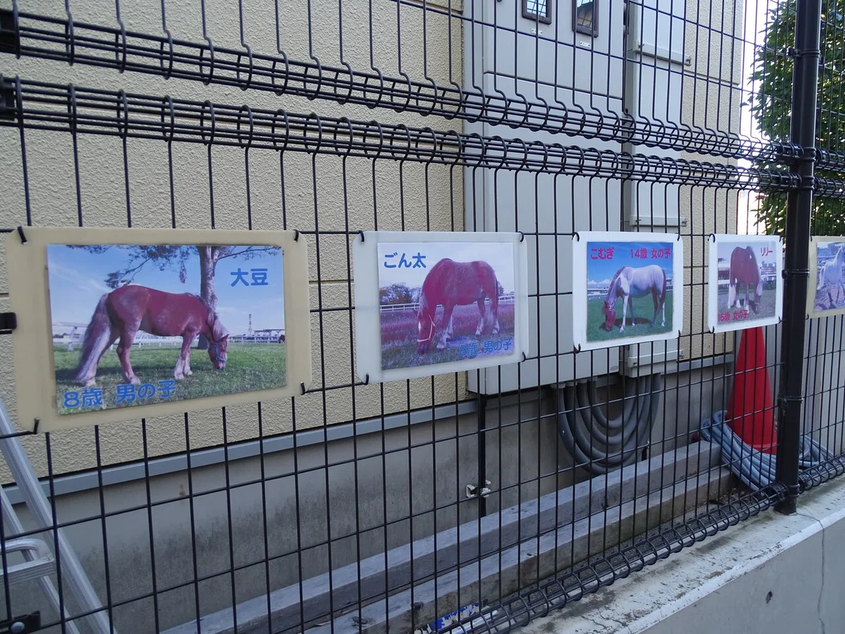 画像68