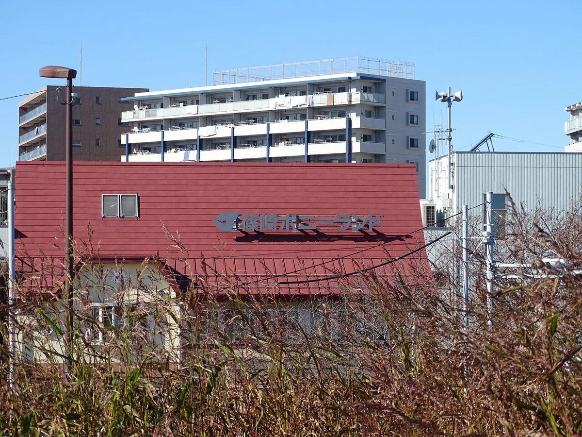 画像61