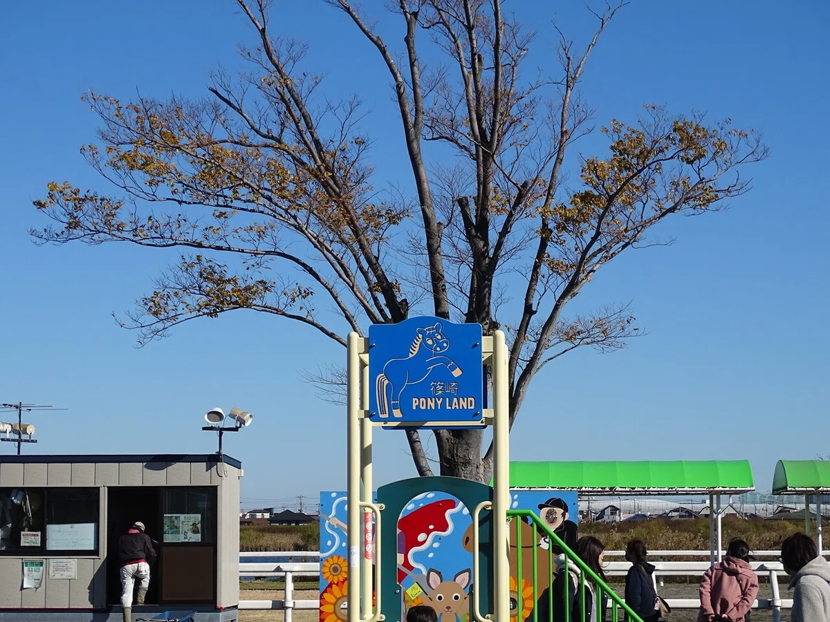 画像56