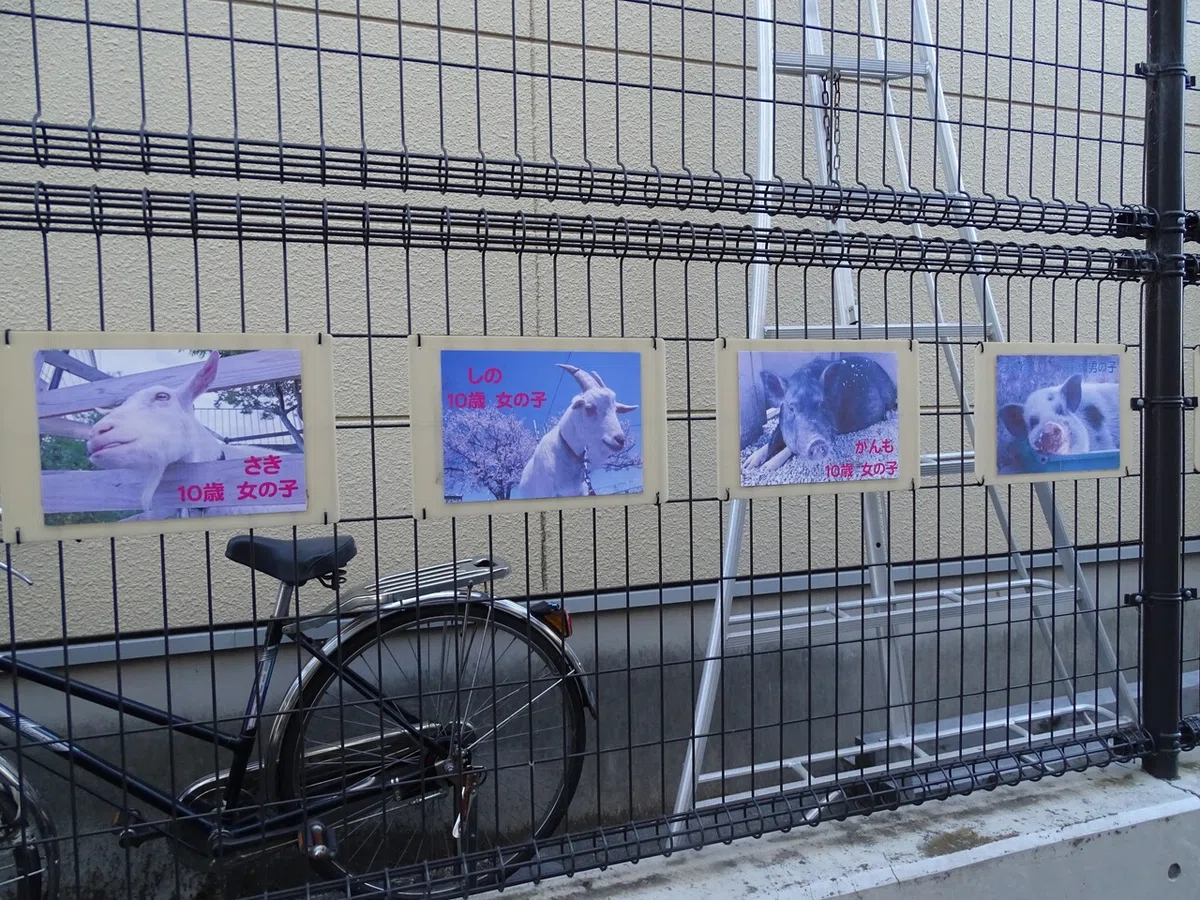 画像67