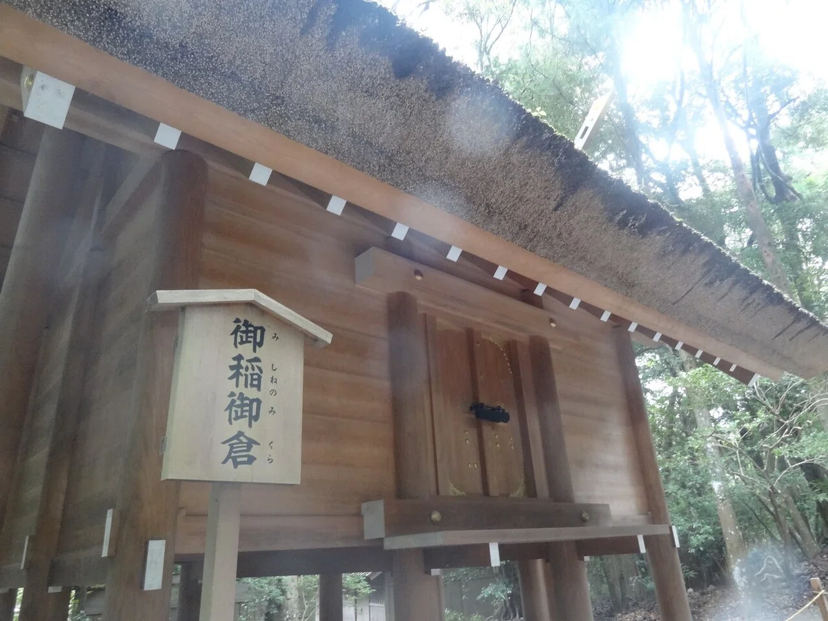 画像11