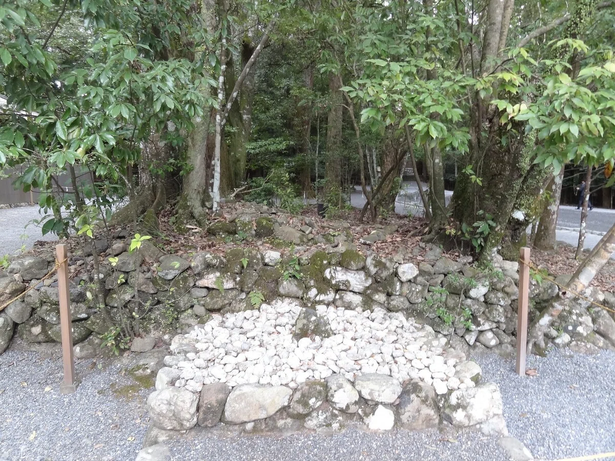 画像17