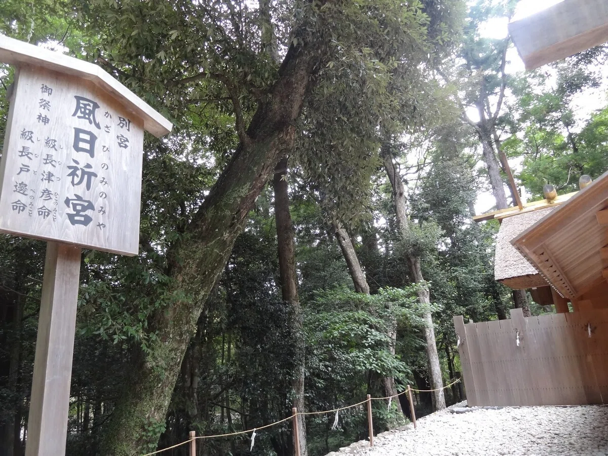 画像24