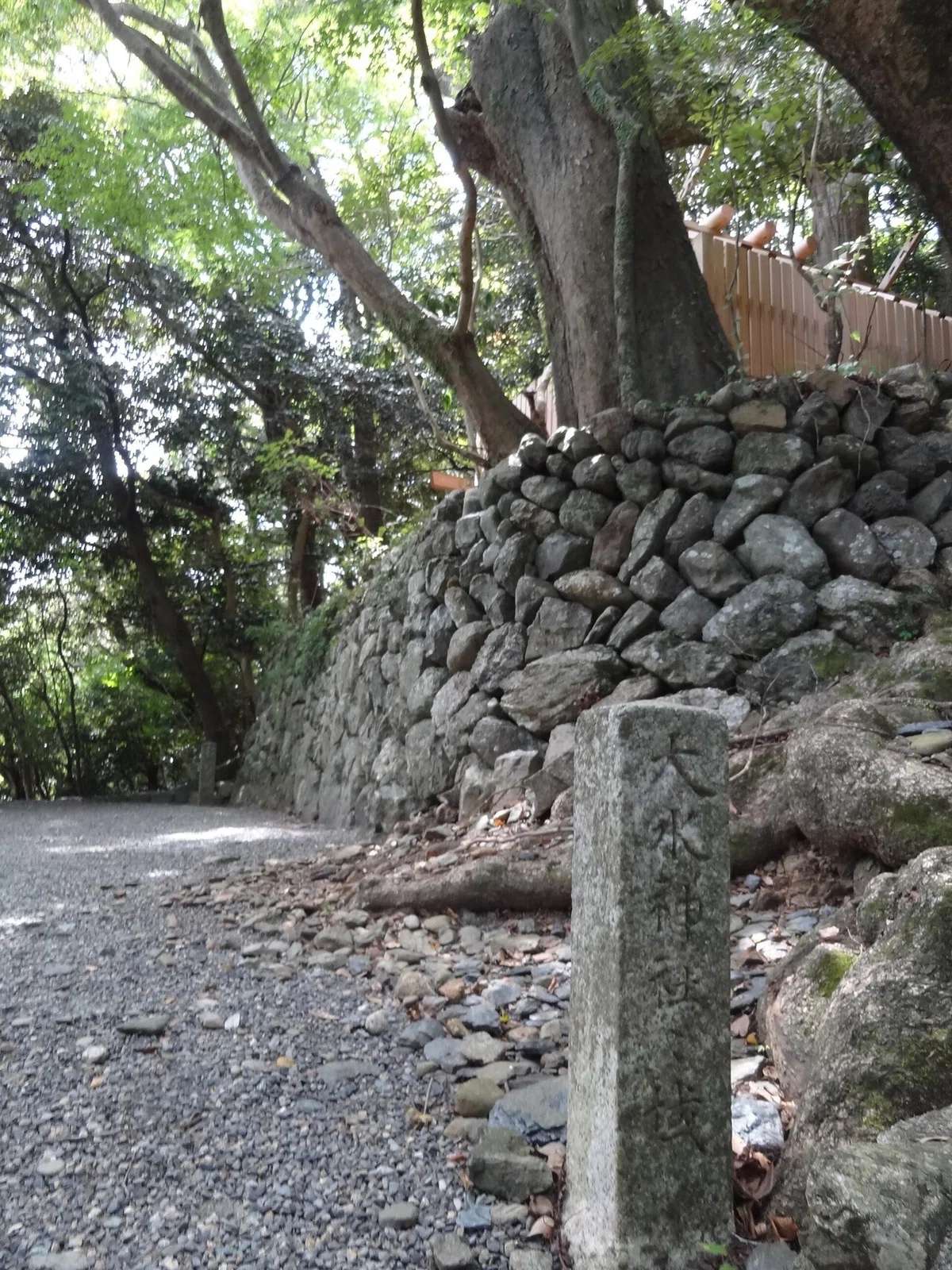 画像44