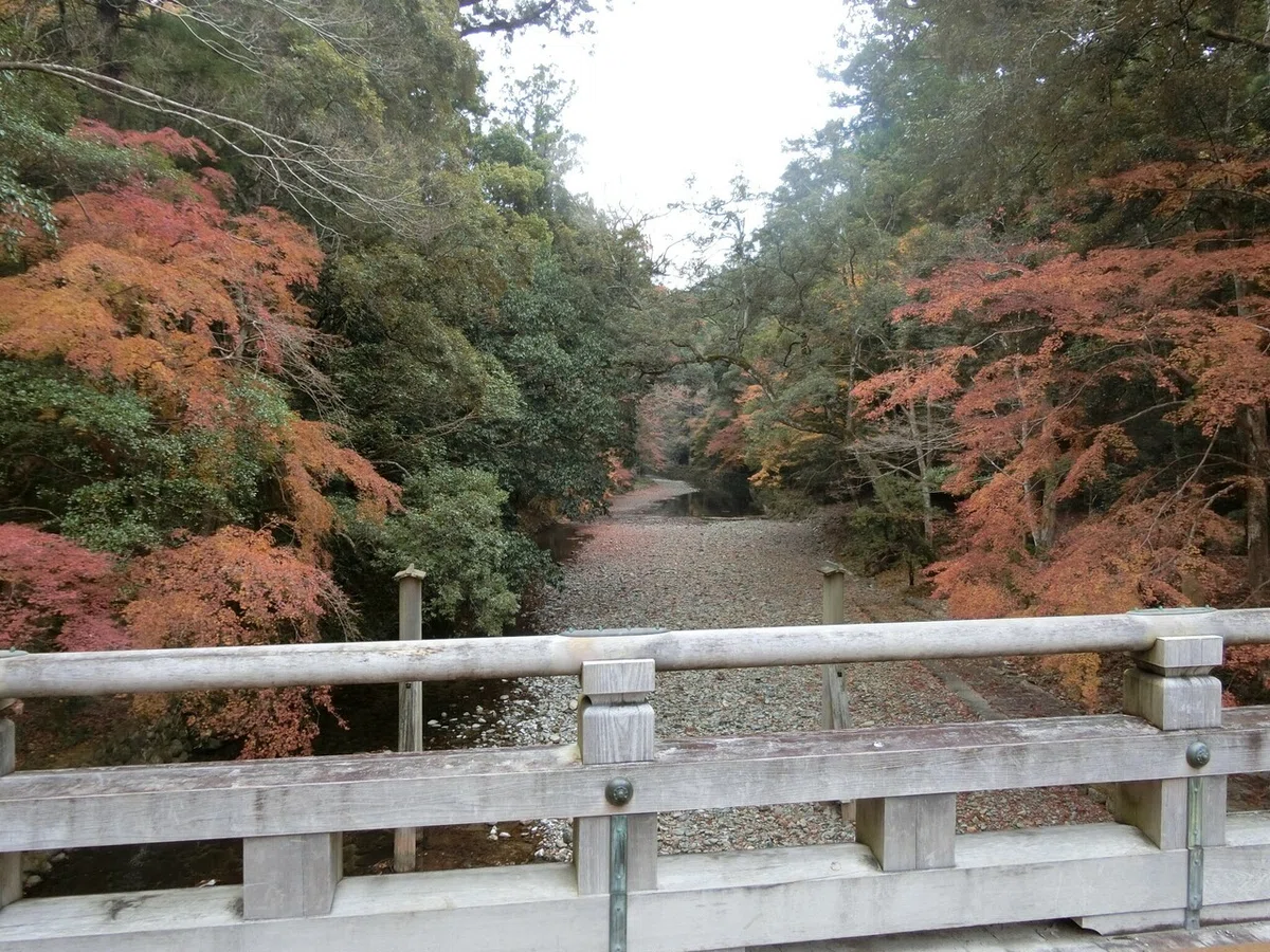 画像54