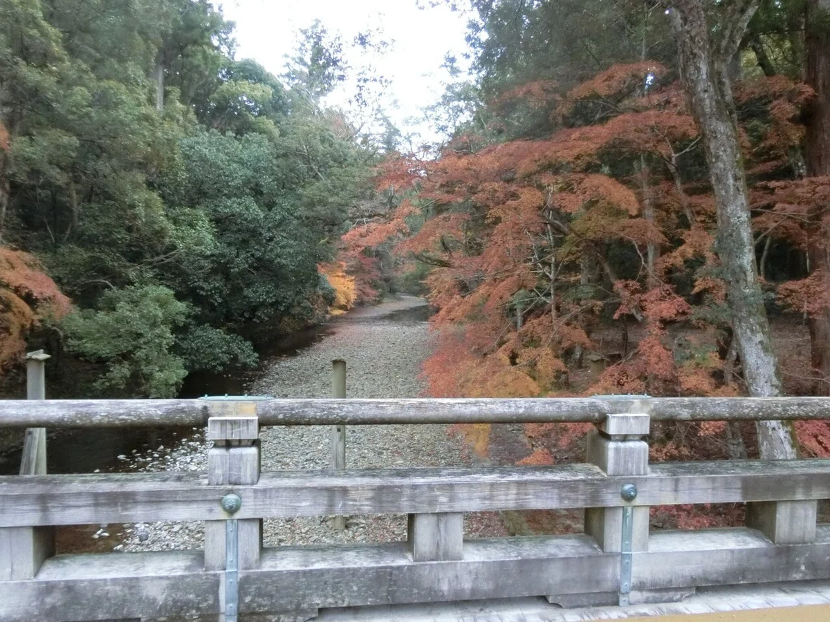 画像55