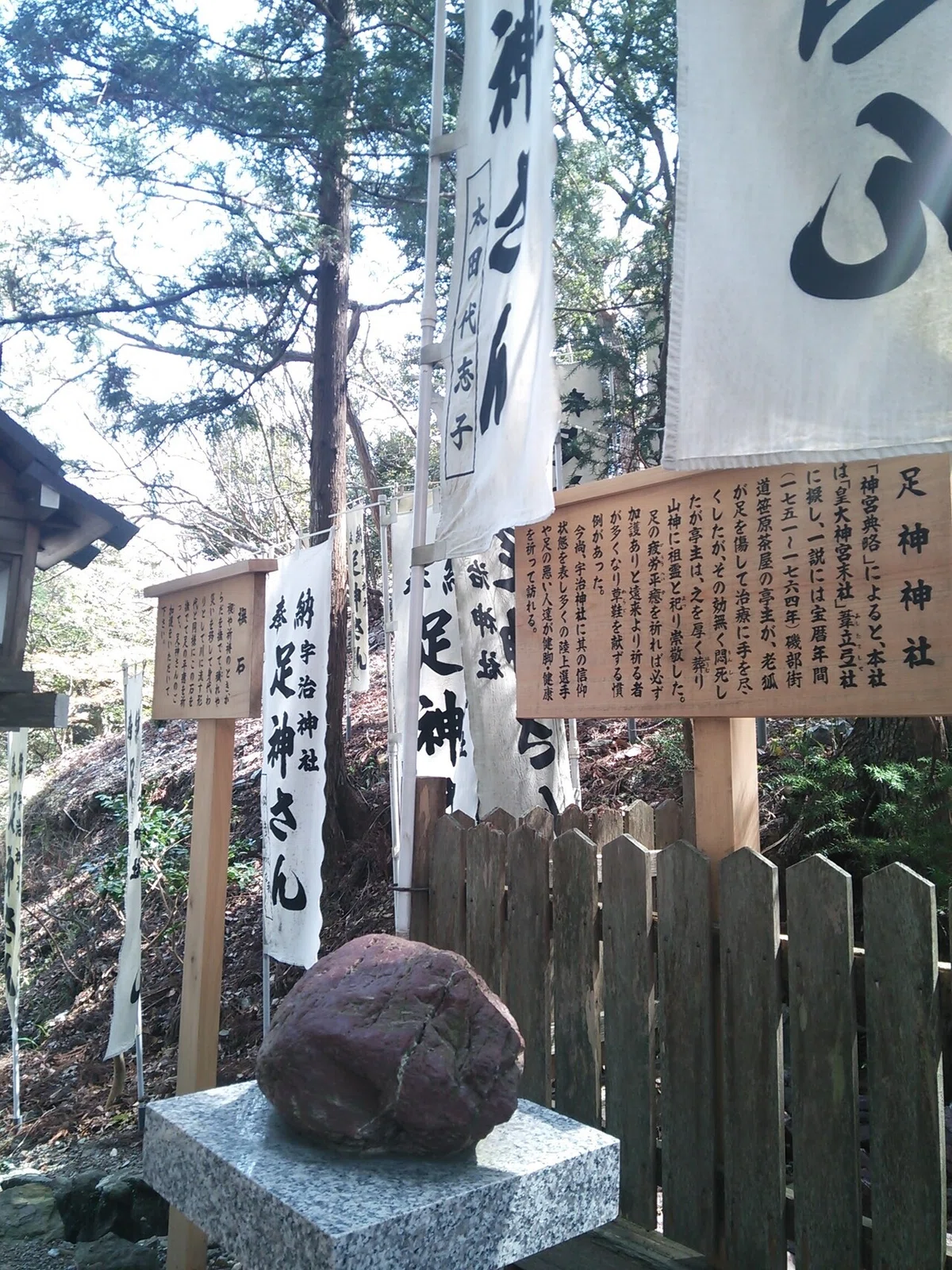 画像7