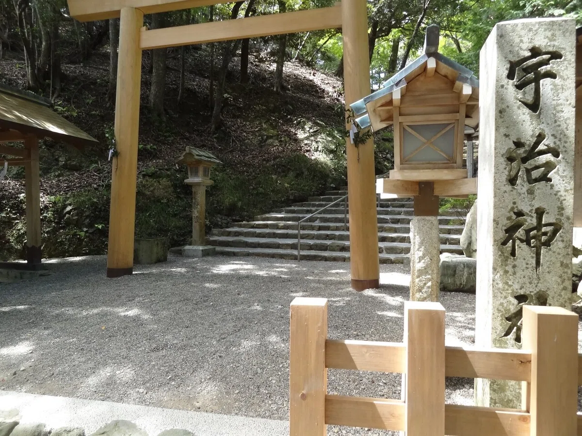 画像8