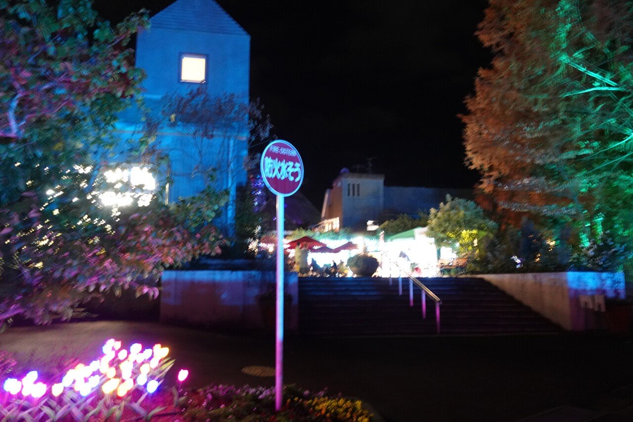花の文化園サンクスイルミ 南 奥河内から情報発信 フォロバ100 相互フォロー歓迎 毎日更新 彡 Note