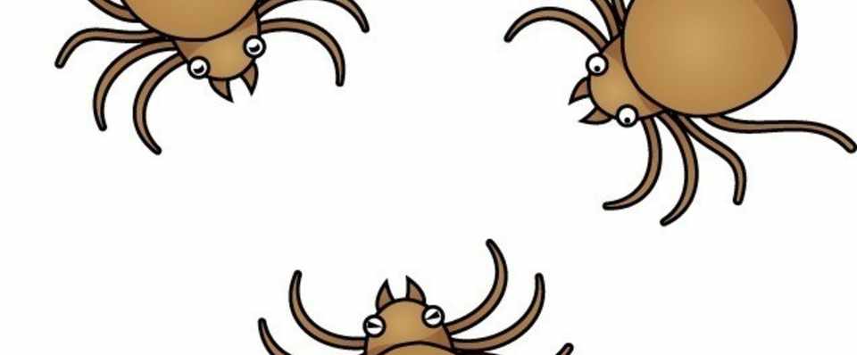 マダニに注意 津和野ヤモリーズ Note