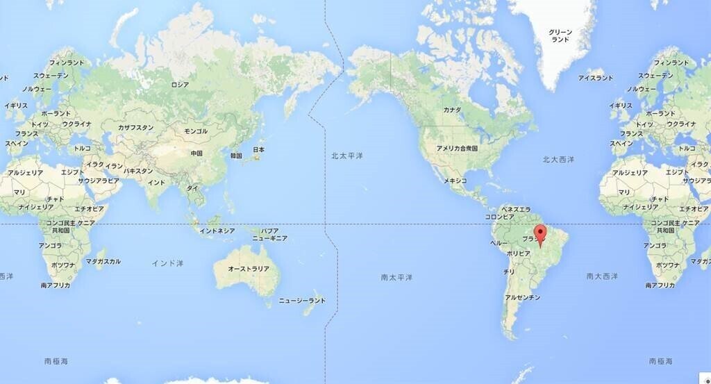 連載 ひのたにの森から 救護の日々 ブラジル編 こもれび文庫 Note