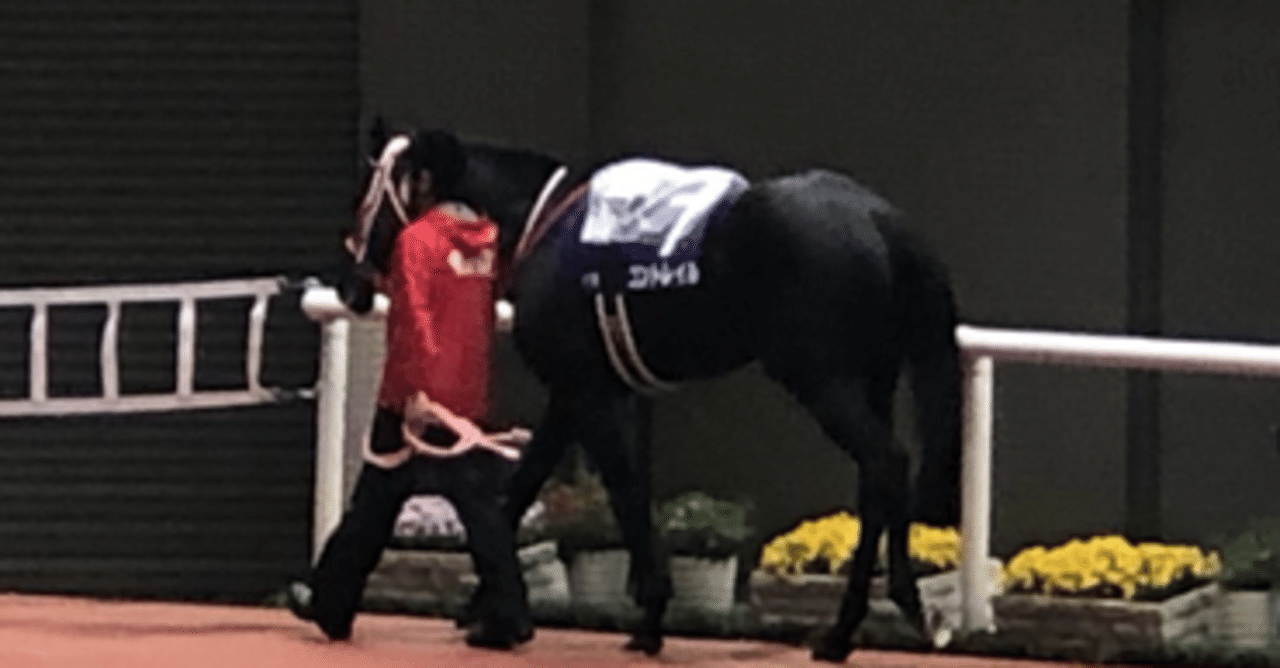 人は初めて生で見た三冠馬を親と認識する習性がある ―僕にとってコン