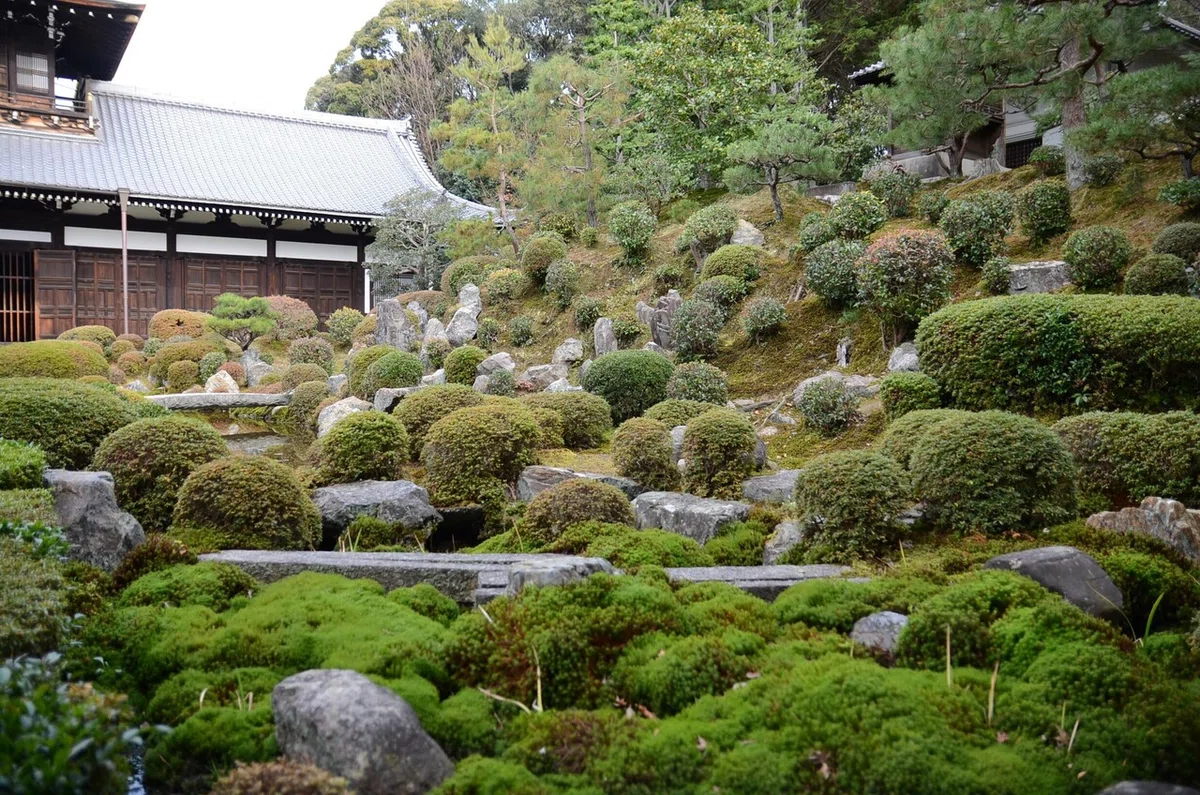 画像8