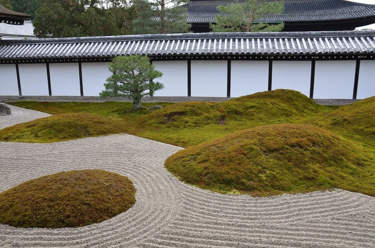 画像11