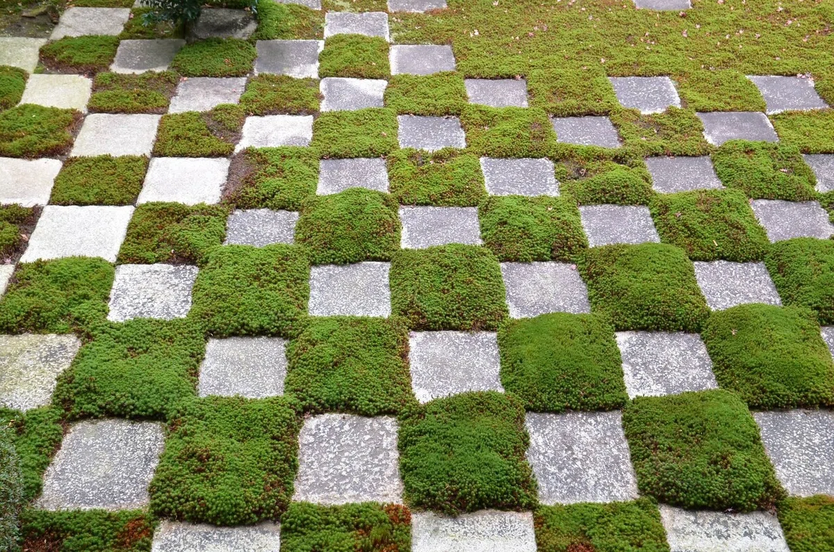 画像13