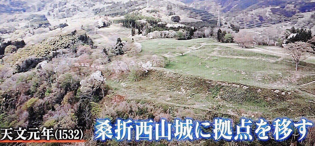 稀代の野心家“伊達稙宗”～第十回「桑折西山城へ拠点を移し新たな