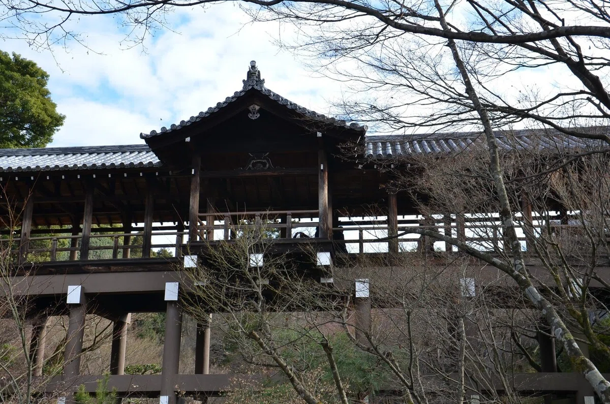 画像14