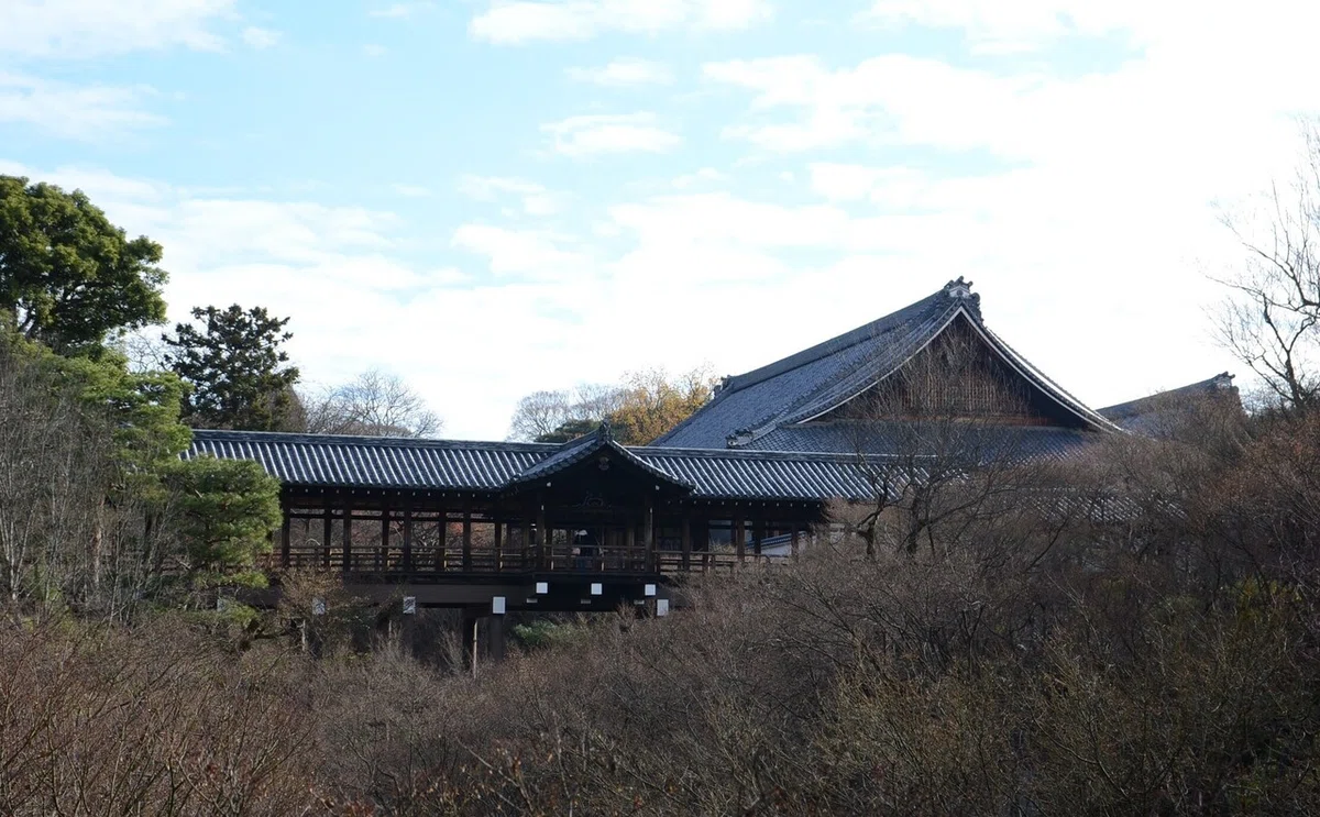 画像15
