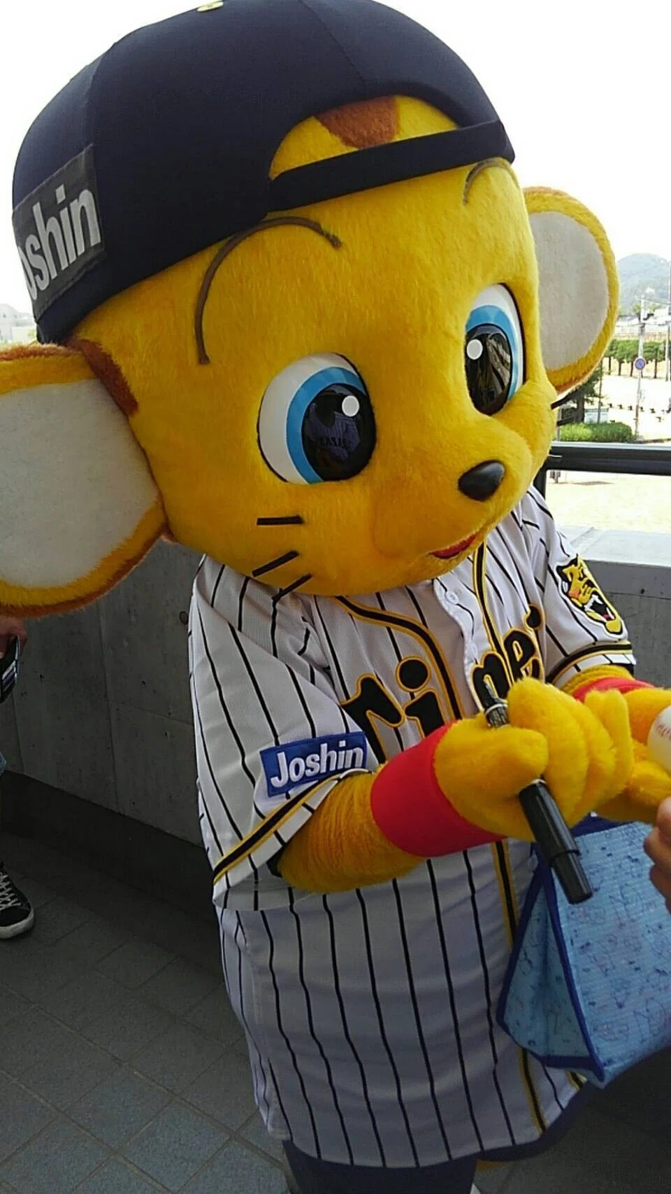 キー太は可愛い の新着タグ記事一覧 Note つくる つながる とどける