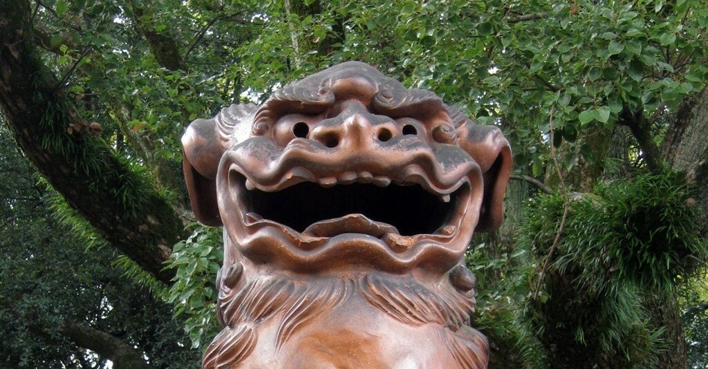 7872a8d5ee00e946ffbb42ce765d10