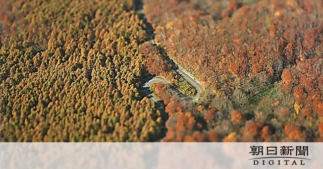 画像137
