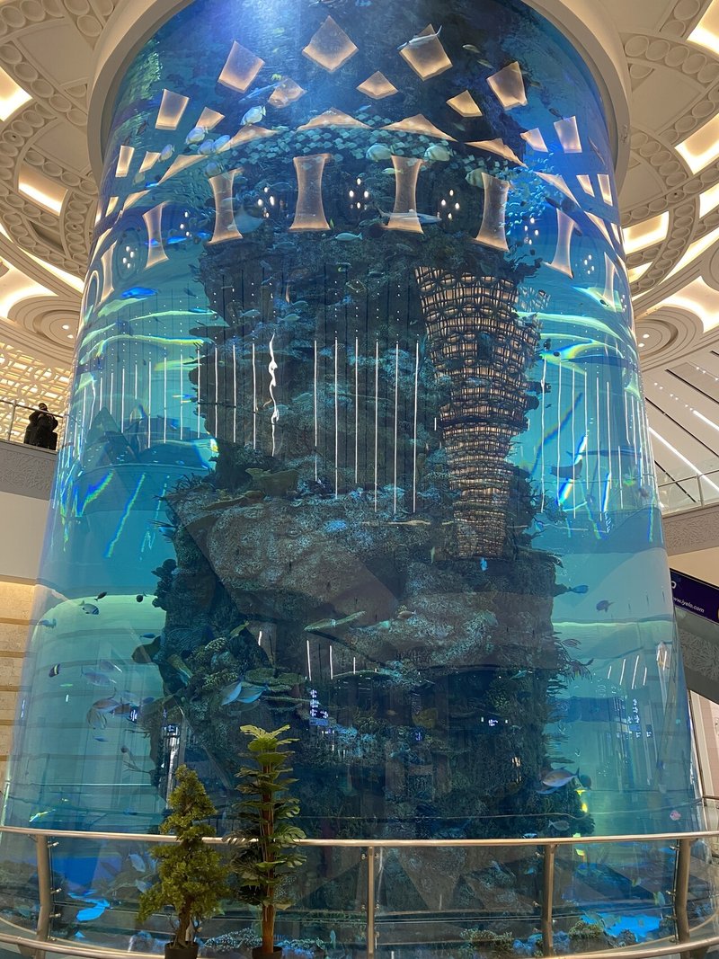 サウジアラビア Jeddah ジッダ ジェッダ 空港 水族館 Kosuke Note
