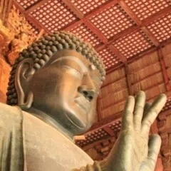 戦争中、中国大陸に木を植えた緑の連隊長・吉松喜三～日本が世界に誇る