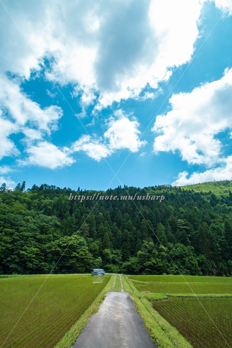 空と田園と道。大好きな場所。京都府下ある場所にて。-撮影2018年6月1日-