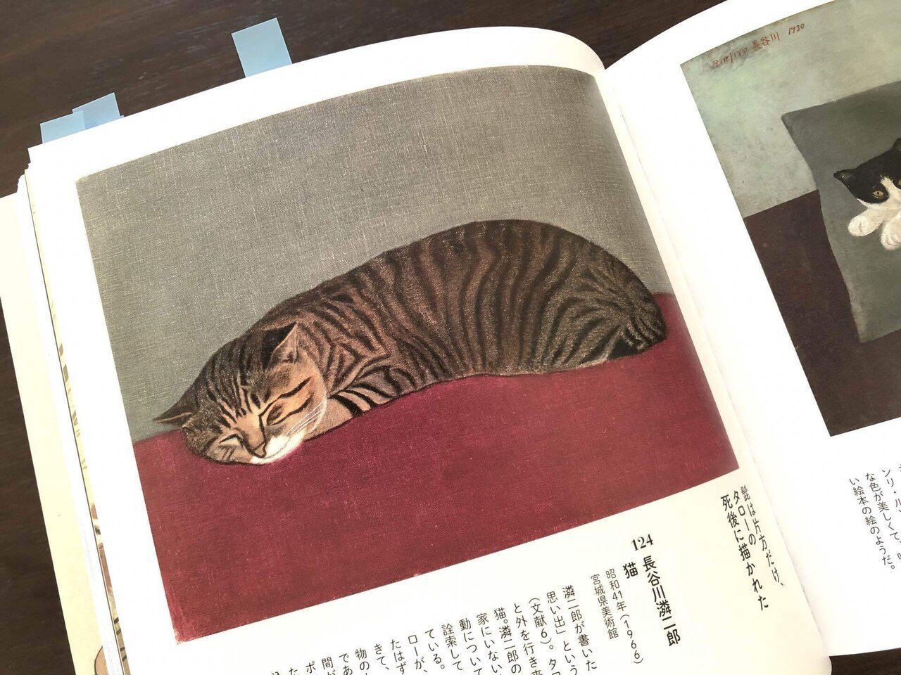 猫絵の模写と、しちさんカレンダー｜PitchPotch（ぴちぽち）