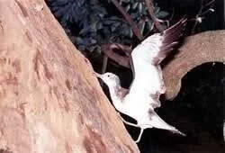 画像15