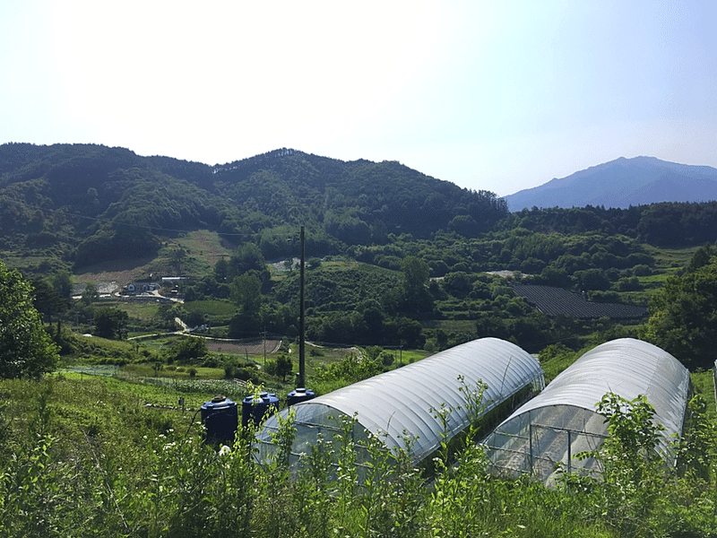 家の前から見た景色