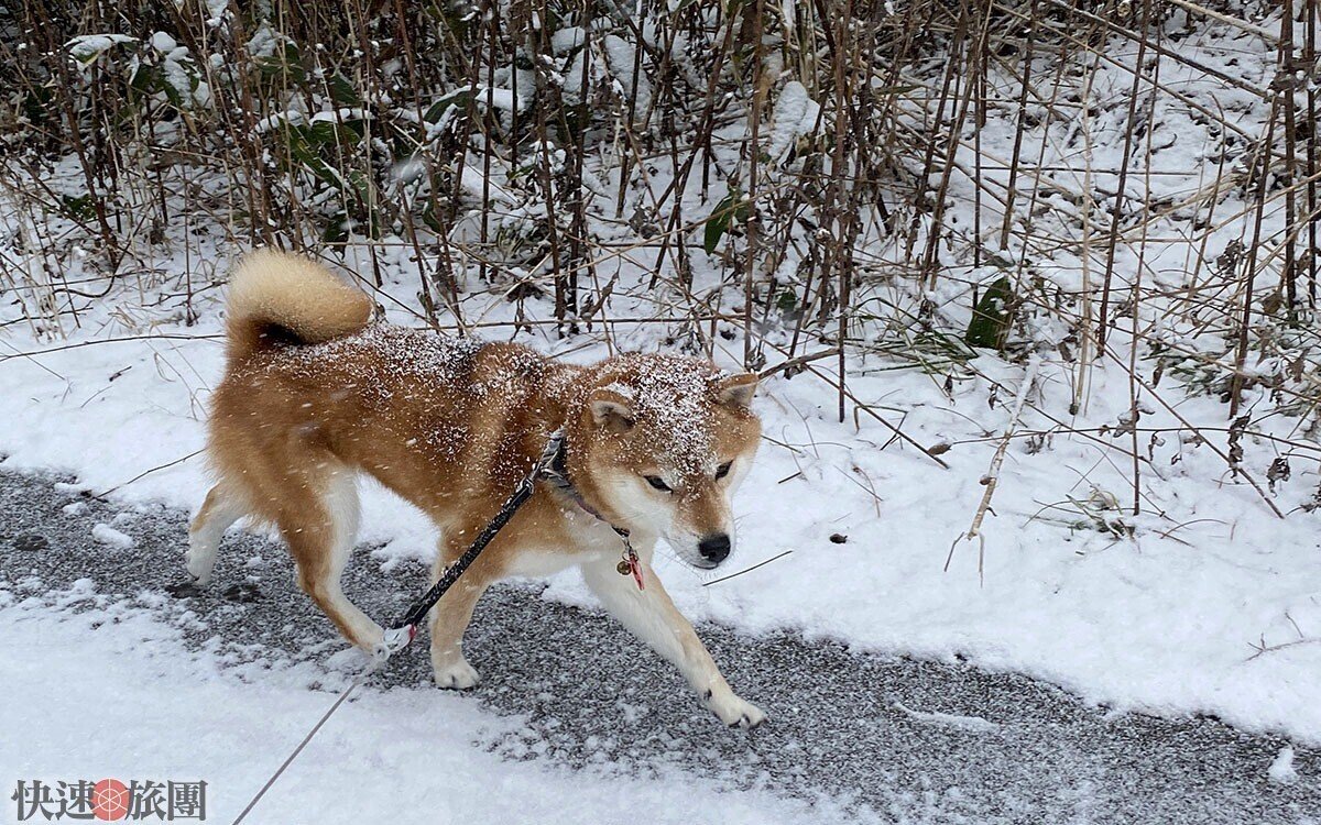 銀色の遥かな道 団長日誌 Note 銀色の遥かな道 団長日誌 Note